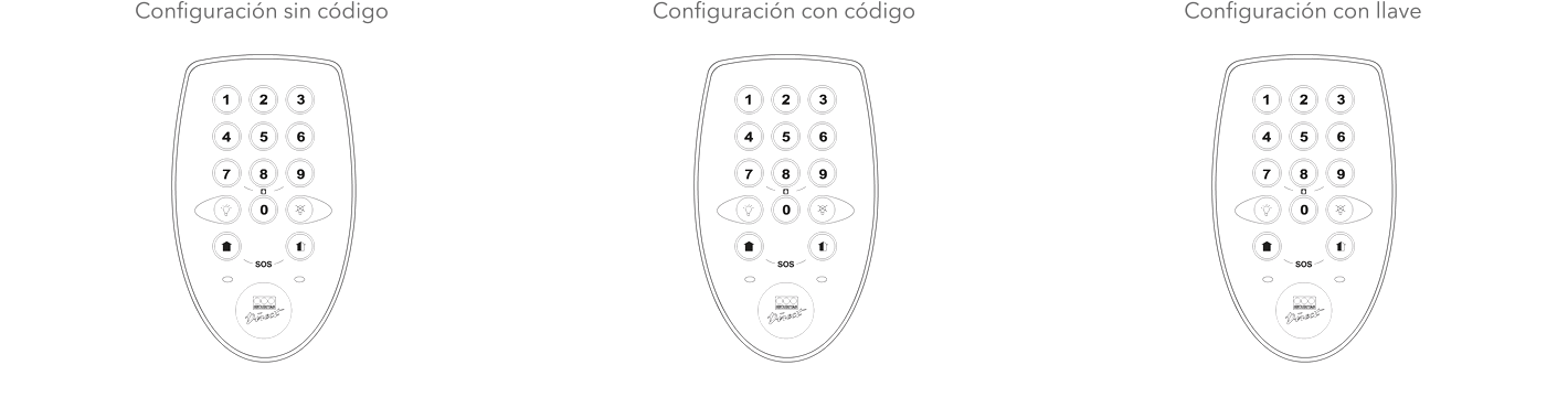 Animación cómo se hace