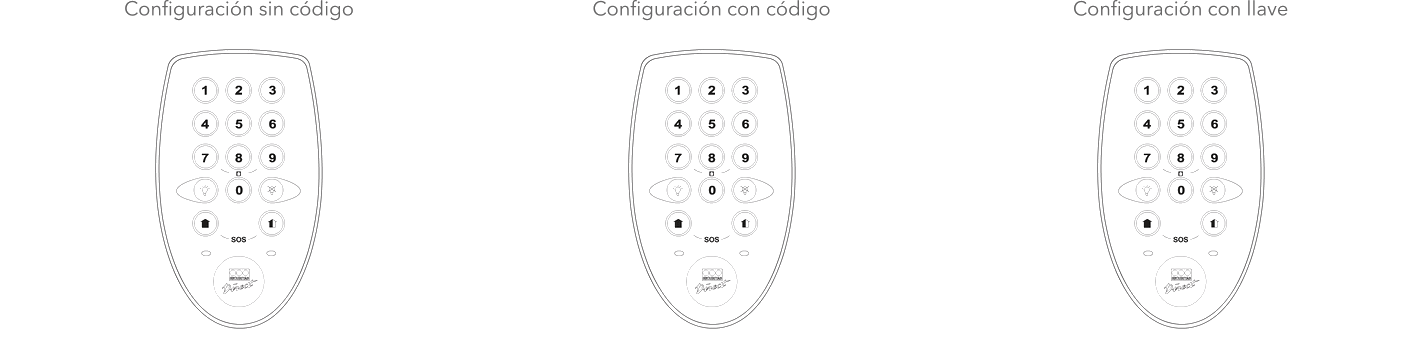 Animación cómo se hace