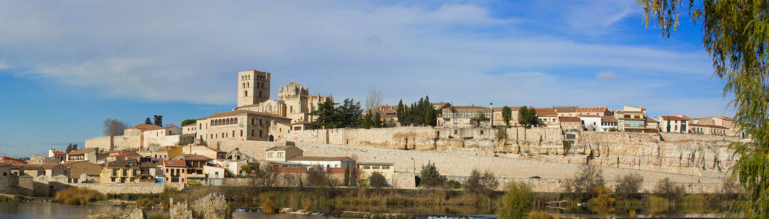 Zamora
