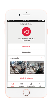 App negocio