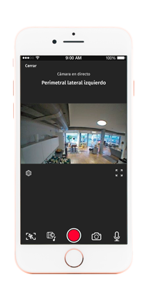 Videovigilancia negocio