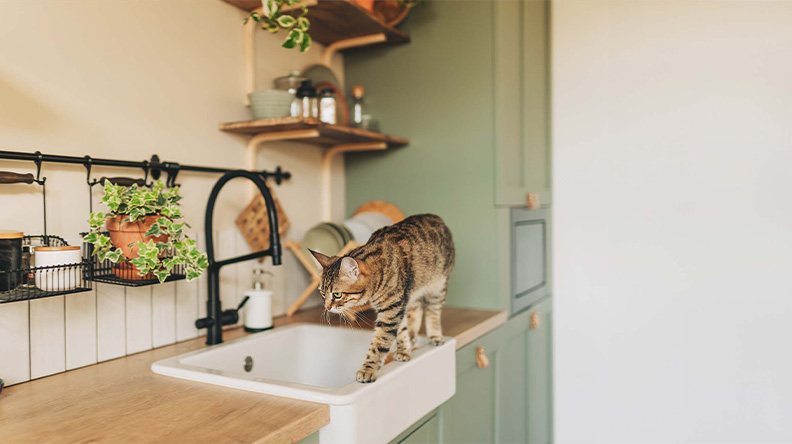 Servicio alerta a policía