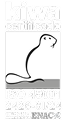 Certificación ISO 2045001